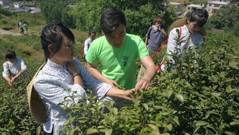 点击图片进入下一页