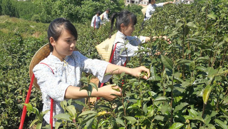 点击图片进入下一页